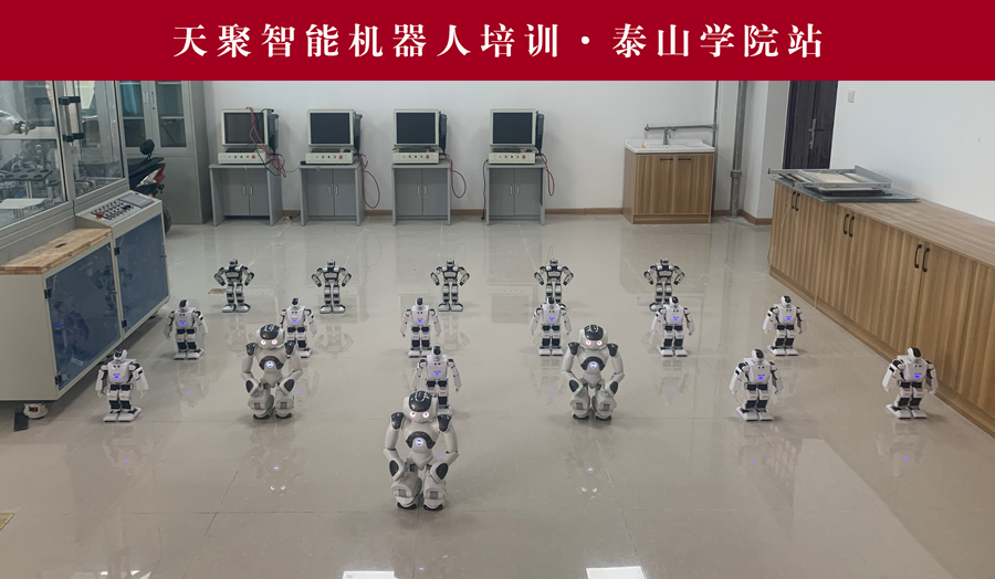 智能机器人培训·泰山学院站