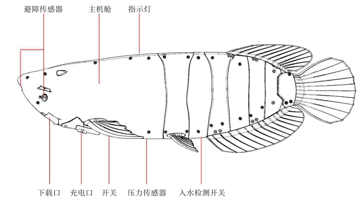 金龙鱼传感器.png